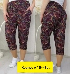 Бриджи