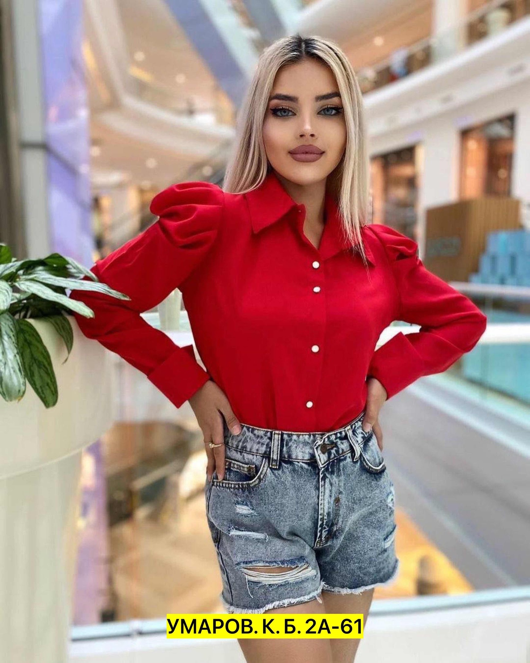 шикарные блузки,блузка модная,блузка женская классическая,модные блузы,блузка стильная