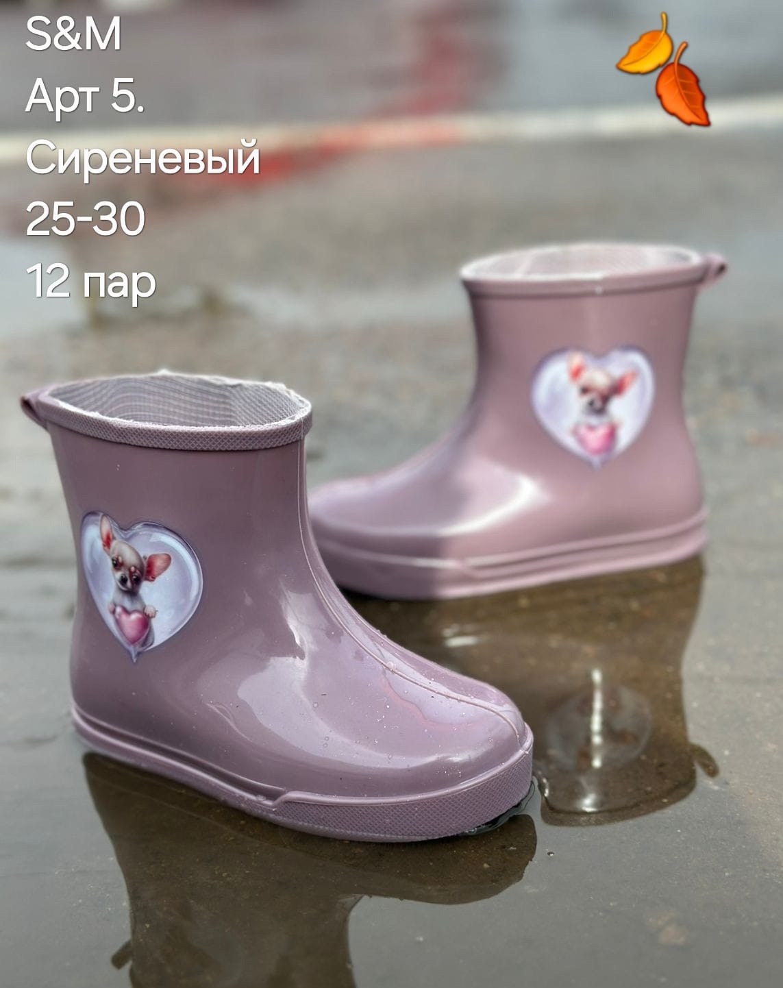 сапоги резиновые,детские резиновые сапоги,резиновые сапоги для девочек,сапожки резиновые,