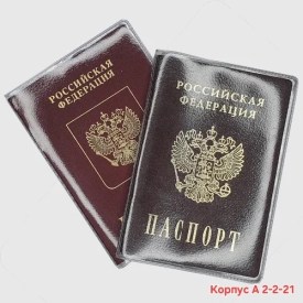 Одежда
