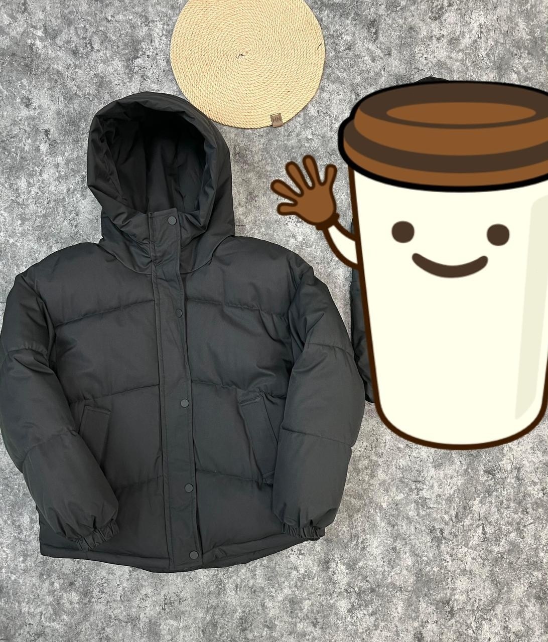 зимняя куртка пуховик,зимние куртки,пуховик повседневный,мужская зимняя куртка,куртка