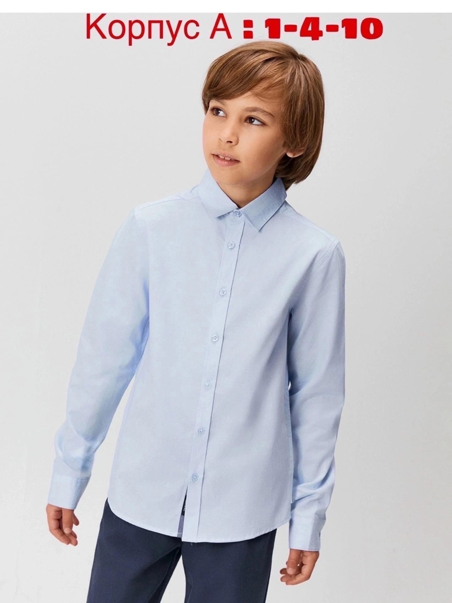 рубашка platin classic для мальчика,школьная рубашка для мальчика,рубашка для мальчика,голубая рубашка для мальчика в школу,классическая школьная рубашка