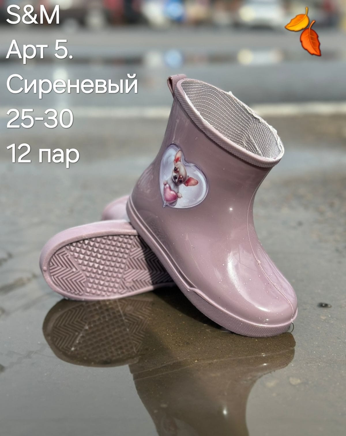 сапоги резиновые,детские резиновые сапоги,резиновые сапоги для девочек,сапожки резиновые,