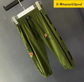 Брюки