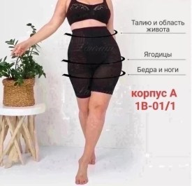Одежда