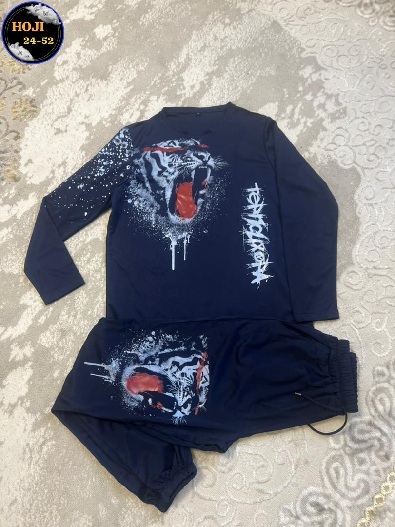 мужские спортивные костюмы,мужская спортивная одежда,мужской спортивный костюм из двух предметов,спортивные костюмы,костюм спортивный мужской спортивный костюм