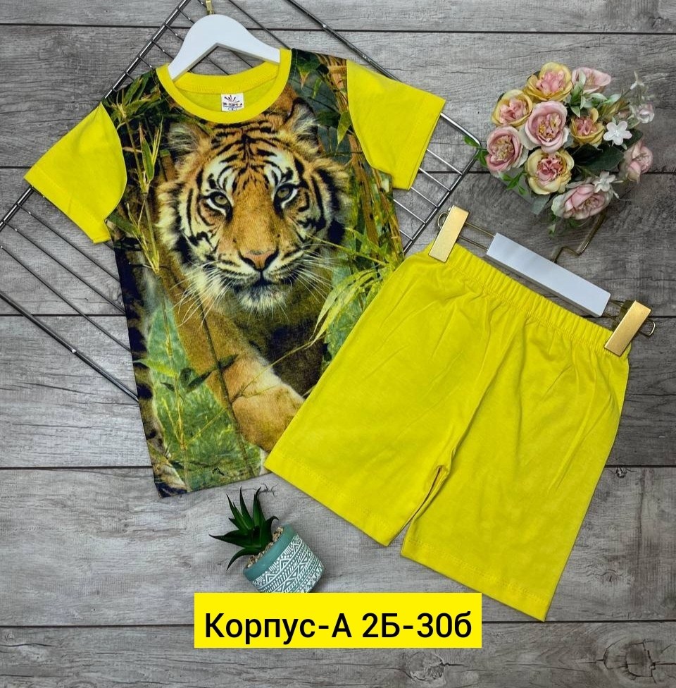 костюм для мальчика, ,футболки комплект,детские костюмы,костюмы двойки