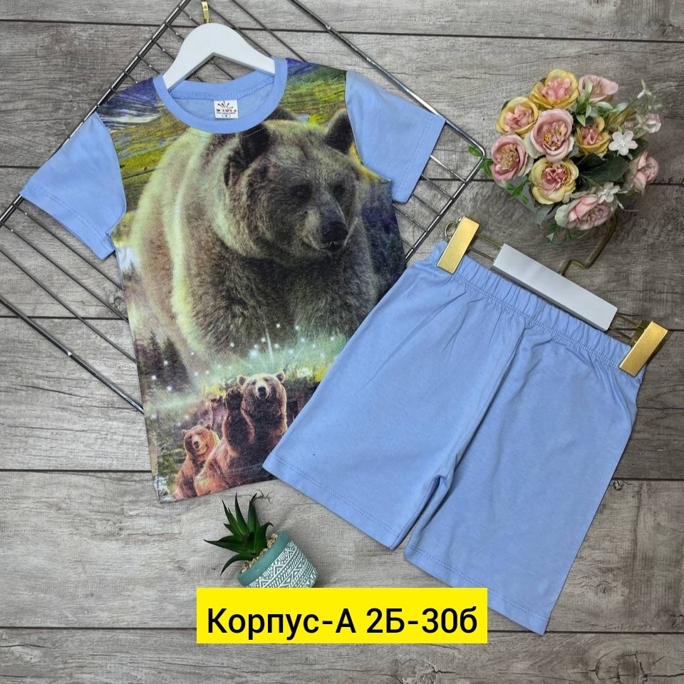 костюм для мальчика, ,футболки комплект,детские костюмы,костюмы двойки