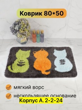 Одежда
