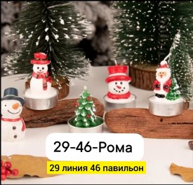 Одежда