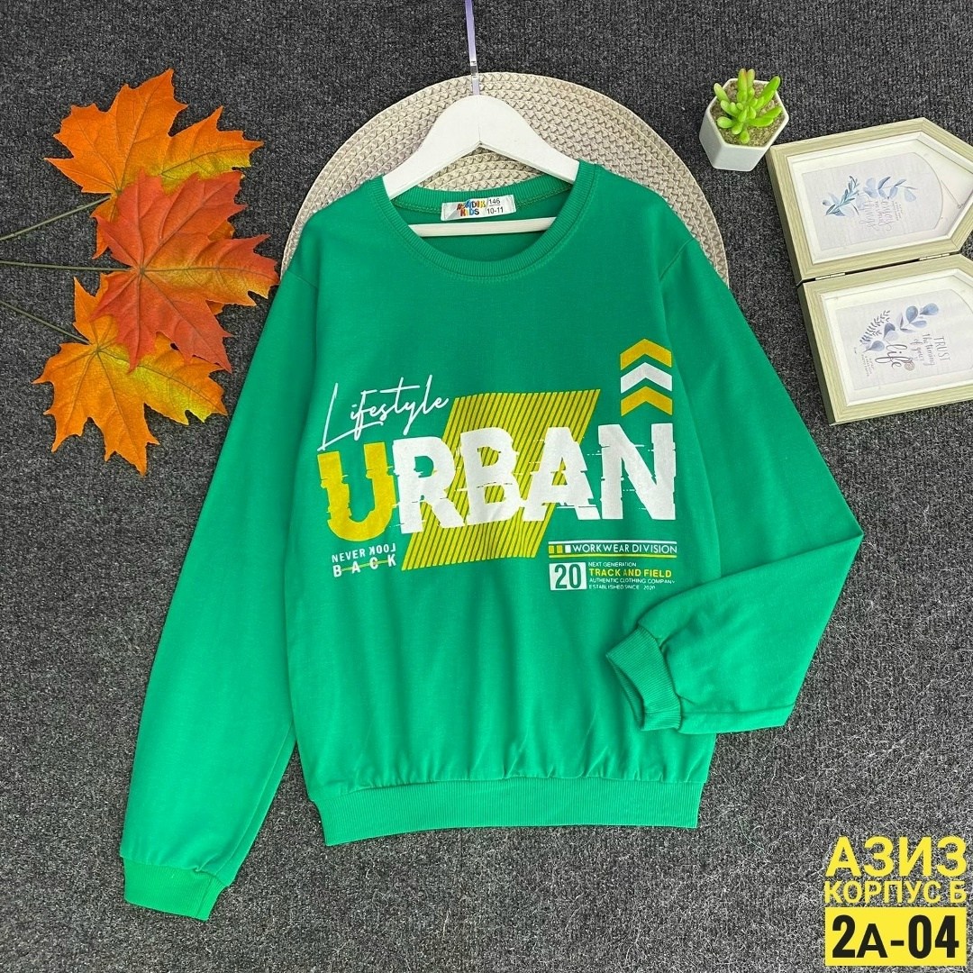 детская кофта,cвитшот для мальчика,кофта для мальчиков,cвитшот детский,толстовка для мальчика