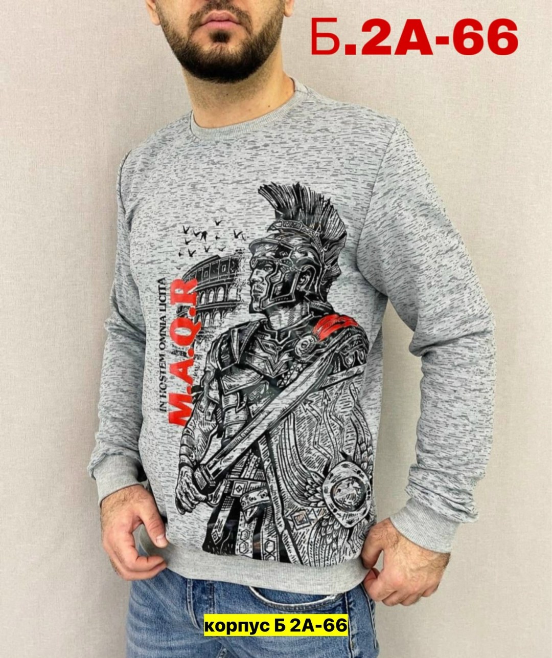 свитшот мужская,мужская кофта,мужские свитшоты,толстовки свитшот,трикотажный свитшот