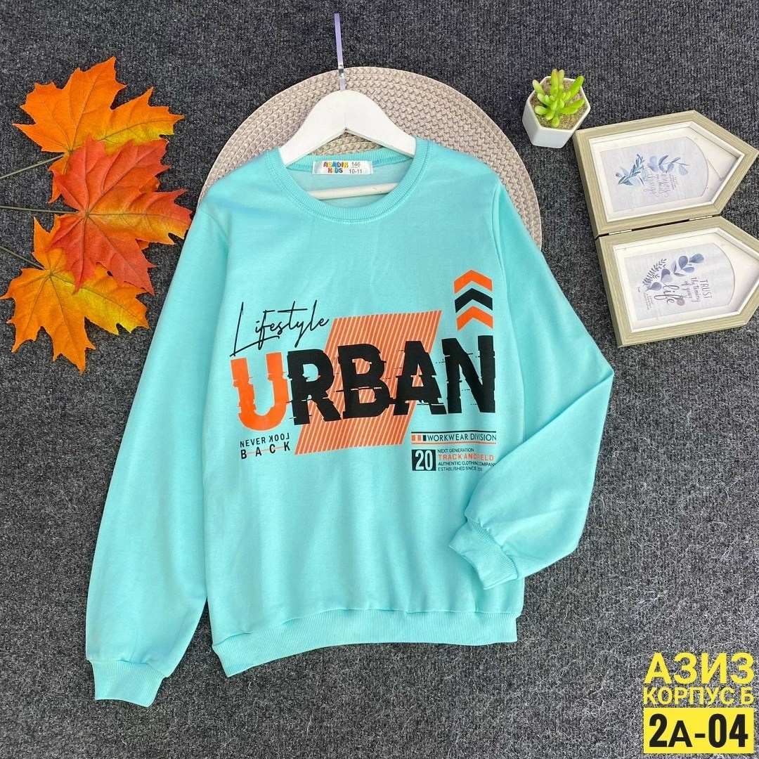 детская кофта,cвитшот для мальчика,кофта для мальчиков,cвитшот детский,толстовка для мальчика