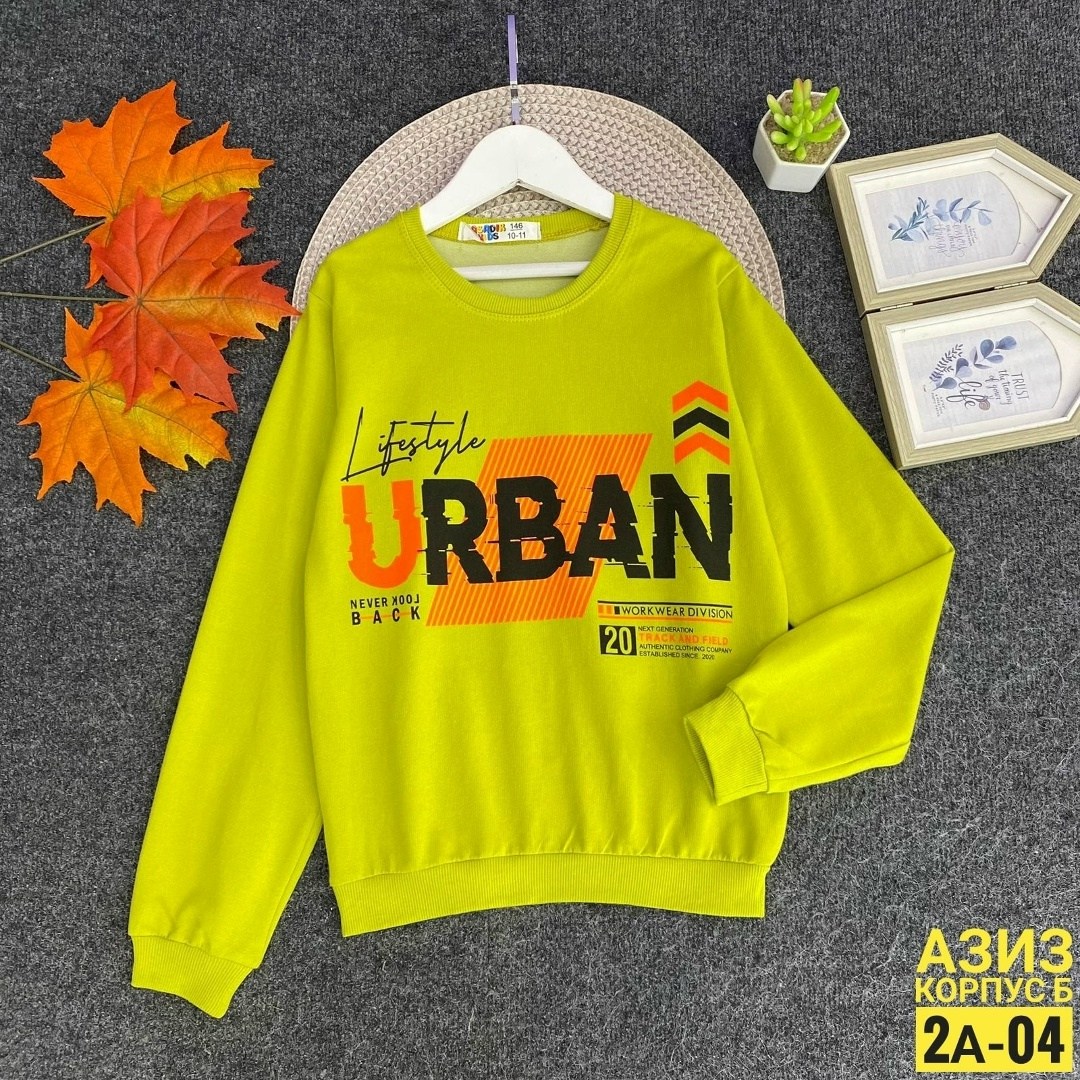 детская кофта,cвитшот для мальчика,кофта для мальчиков,cвитшот детский,толстовка для мальчика