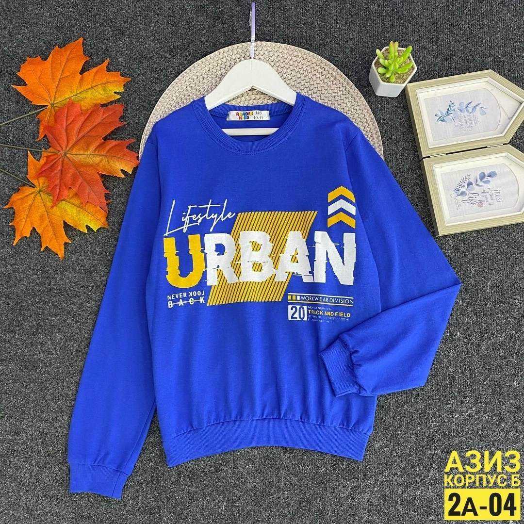 детская кофта,cвитшот для мальчика,кофта для мальчиков,cвитшот детский,толстовка для мальчика