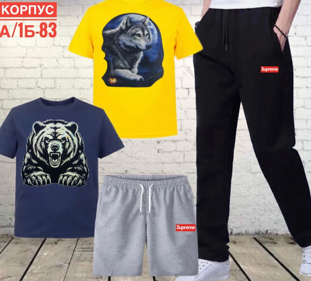 костюмы спортивные мужские,костюм спортивный мужской шорты,спортивные костюм,спорт костюм,женские костюмы спортивные