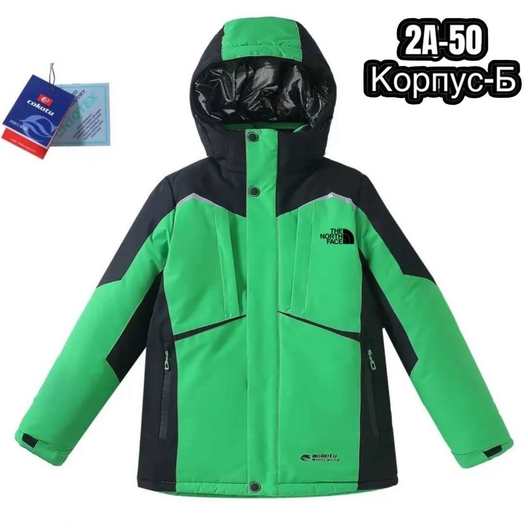 куртка горнолыжная,куртка горнолыжная детская,куртка,куртка the north face,куртка на мальчика