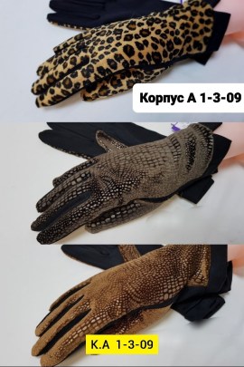 Одежда