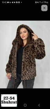 Верхняя одежда