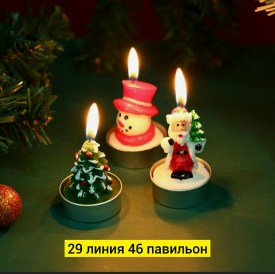 Одежда