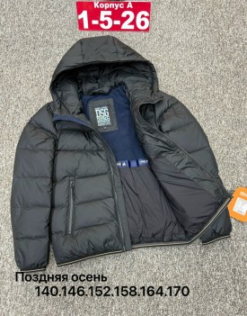 Верхняя одежда