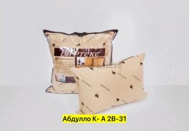Одежда