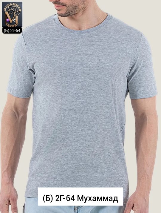 футболки мужские,базовая футболка мужская,однотонная футболка мужская,майка мужские,футболка на мужчине