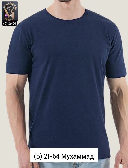 футболки мужские,базовая футболка мужская,однотонная футболка мужская,майка мужские,футболка на мужчине