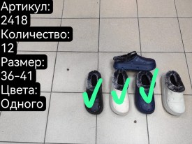 Сланцы
