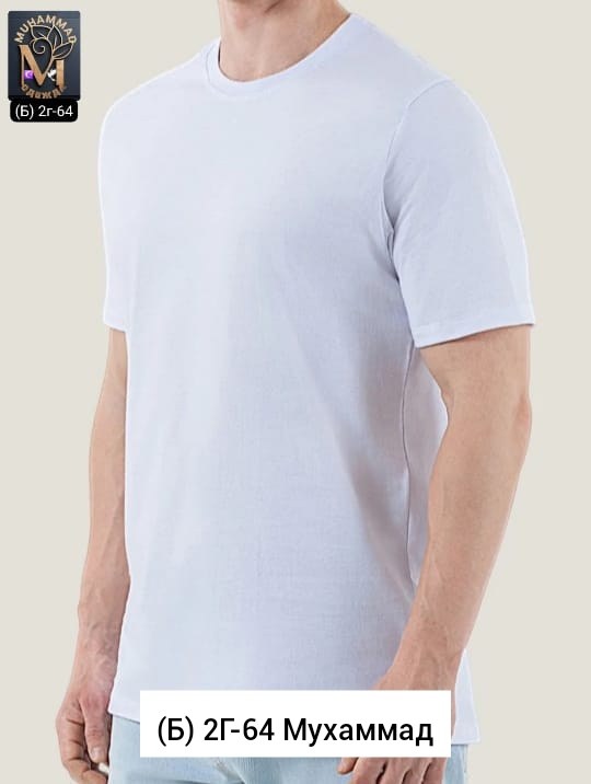 футболки мужские,базовая футболка мужская,однотонная футболка мужская,майка мужские,футболка на мужчине