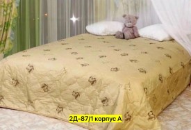 Одежда