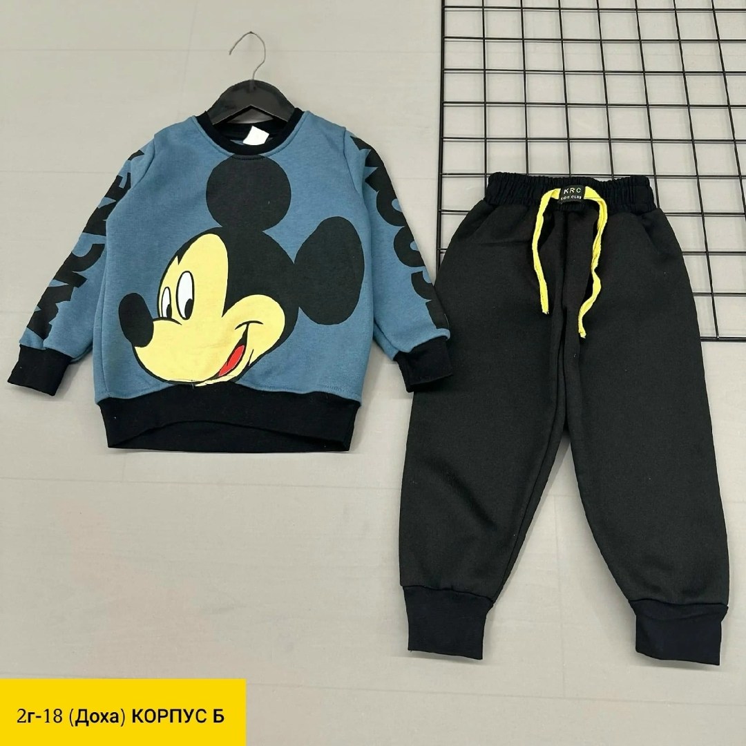 костюм детский на флисе,детский костюм,костюмы двойки,детские костюмы,костюмчик детский