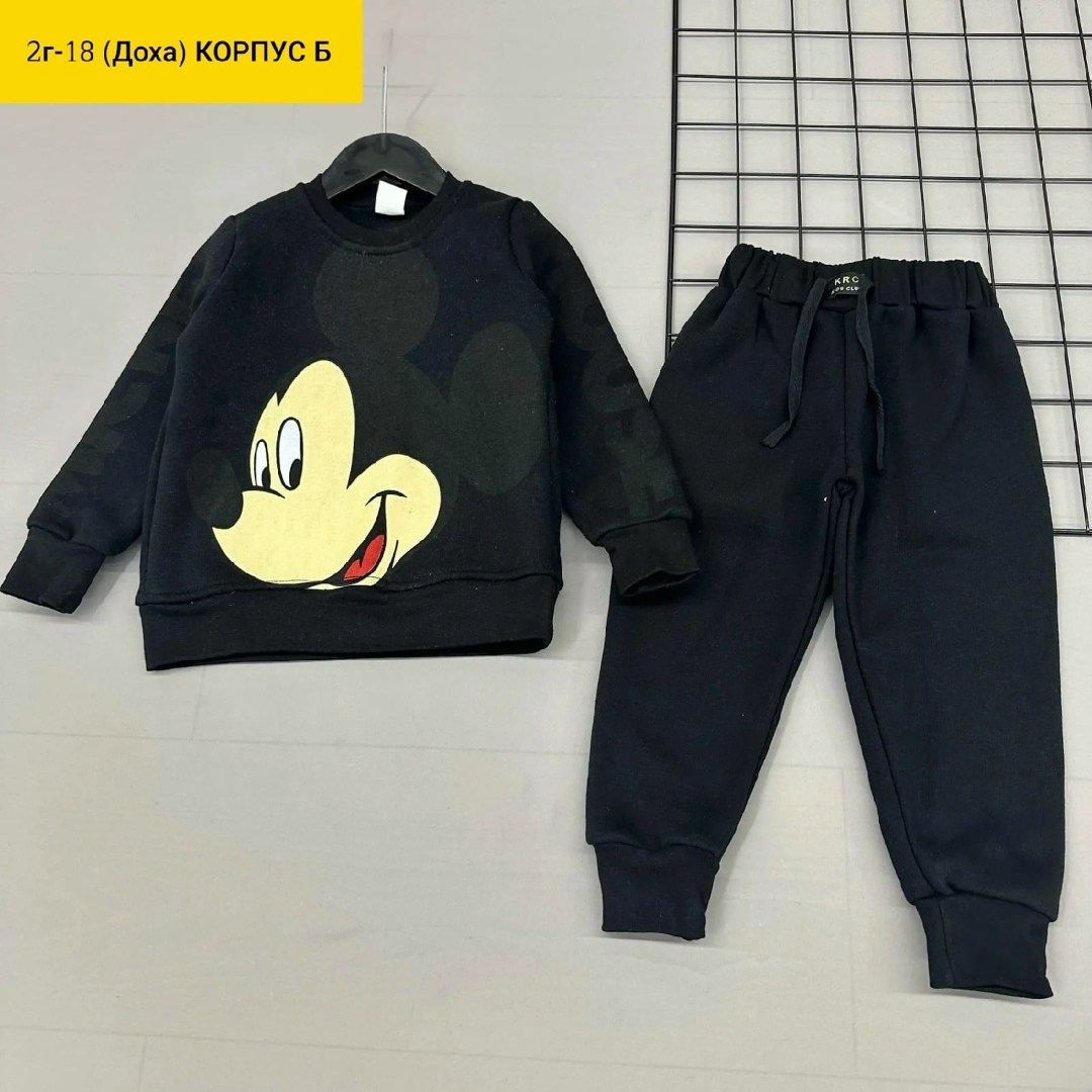 костюм детский на флисе,детский костюм,костюмы двойки,детские костюмы,костюмчик детский