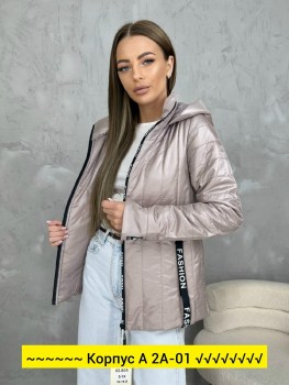 Верхняя одежда