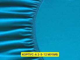 Одежда
