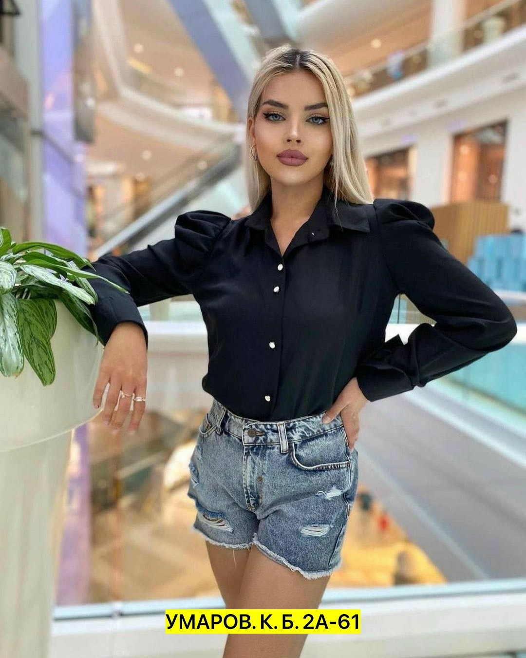шикарные блузки,блузка женская классическая,блузка женская,блузка модная,женские блузки и рубашки