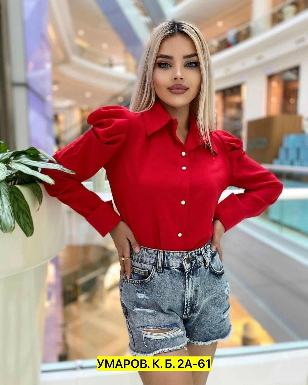 шикарные блузки,блузка женская классическая,блузка женская,блузка модная,женские блузки и рубашки