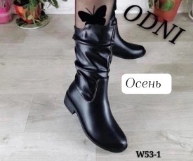 Сапоги