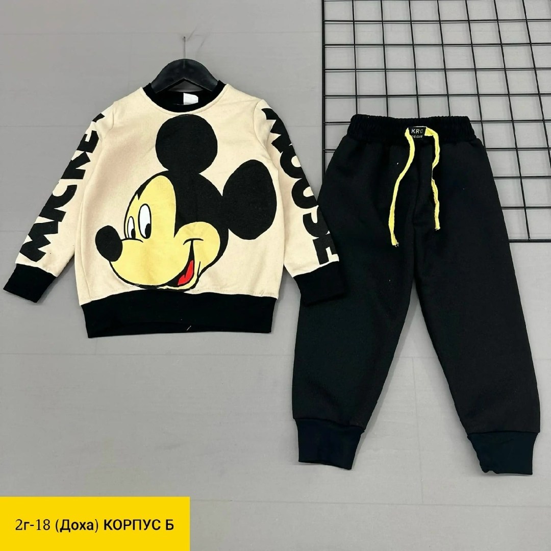 костюм детский на флисе,детский костюм,костюмы двойки,детские костюмы,костюмчик детский