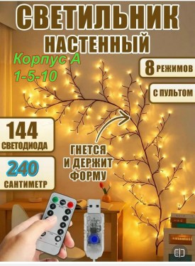 Одежда