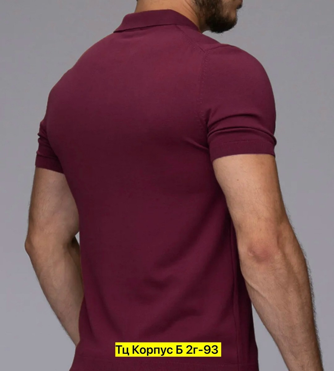 футболки мужские,мужская футболка поло,футболки для мужчин,универсальные футболки,футболки с воротником