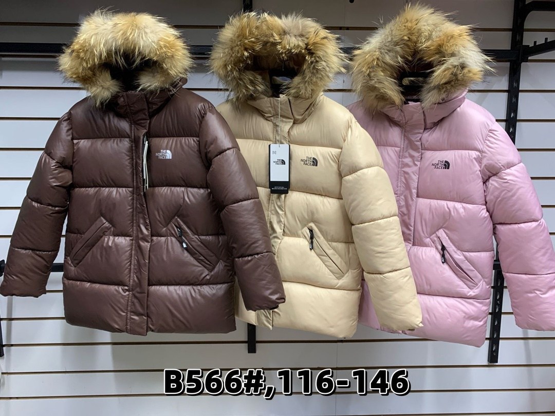 куртка зимняя,куртка,куртка зимняя the north face,куртка зима пуховик,куртка женская