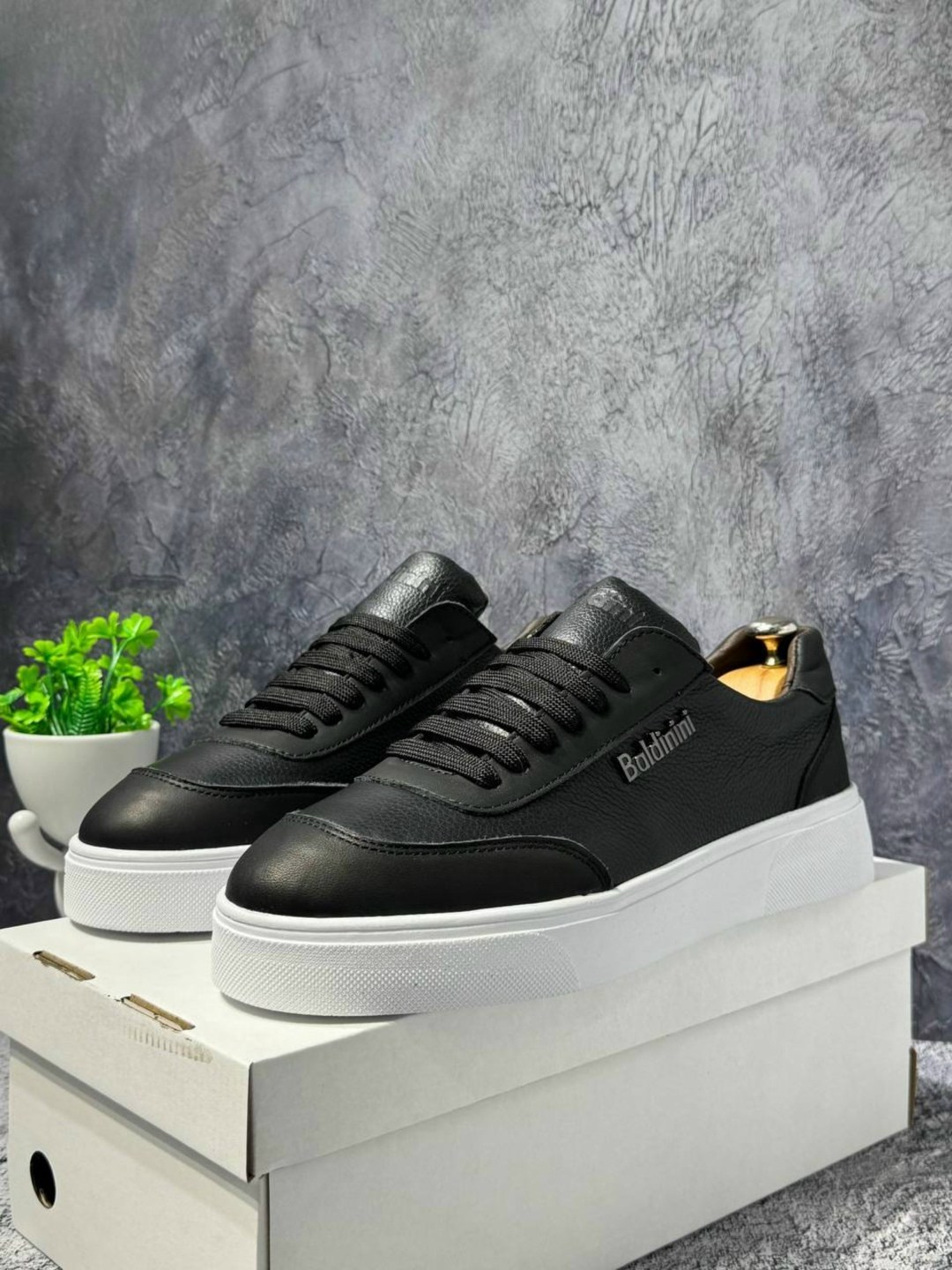 кеды мужские baldinini,,кеды мужские кожаные,кеды кожаные,кеды мужские