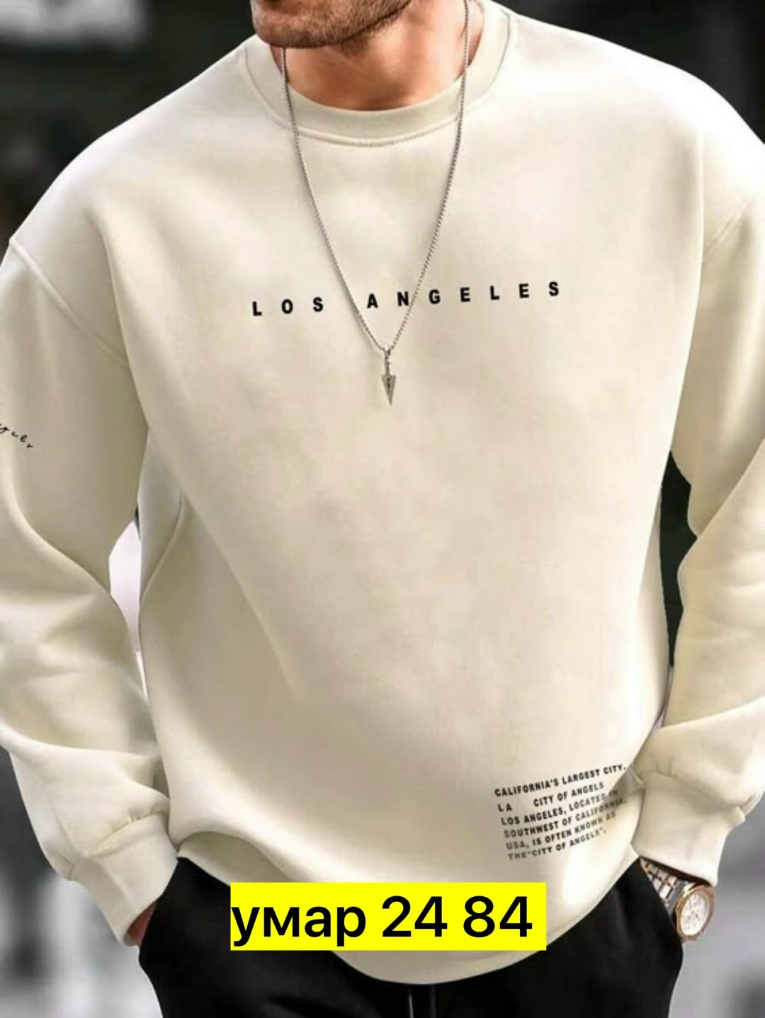 мужская толстовка,мужские свитшоты,мужская мода,толстовка с длинным рукавом мужская,свитшот мужская