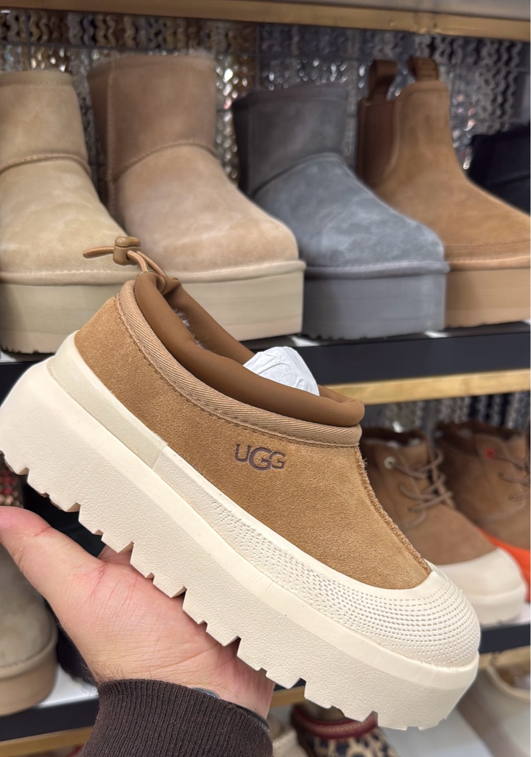 ugg tazz slipper chestnut,ugg slipper,угги женские ugg,,угги женские