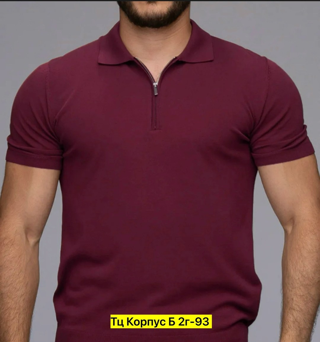 футболки мужские,мужская футболка поло,футболки для мужчин,универсальные футболки,футболки с воротником