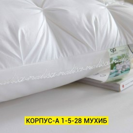 Одежда
