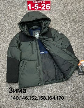 Верхняя одежда