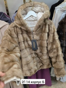 Верхняя одежда