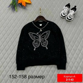 Толстовка